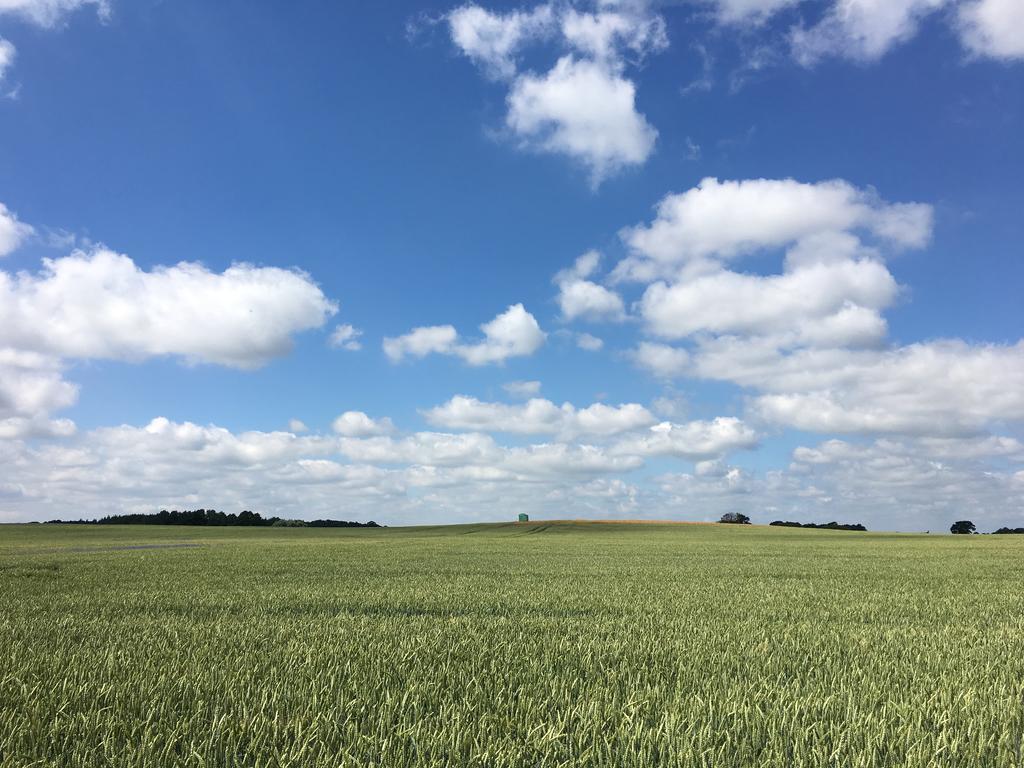 Apartmenthaus Luett Meer Ludorf ภายนอก รูปภาพ