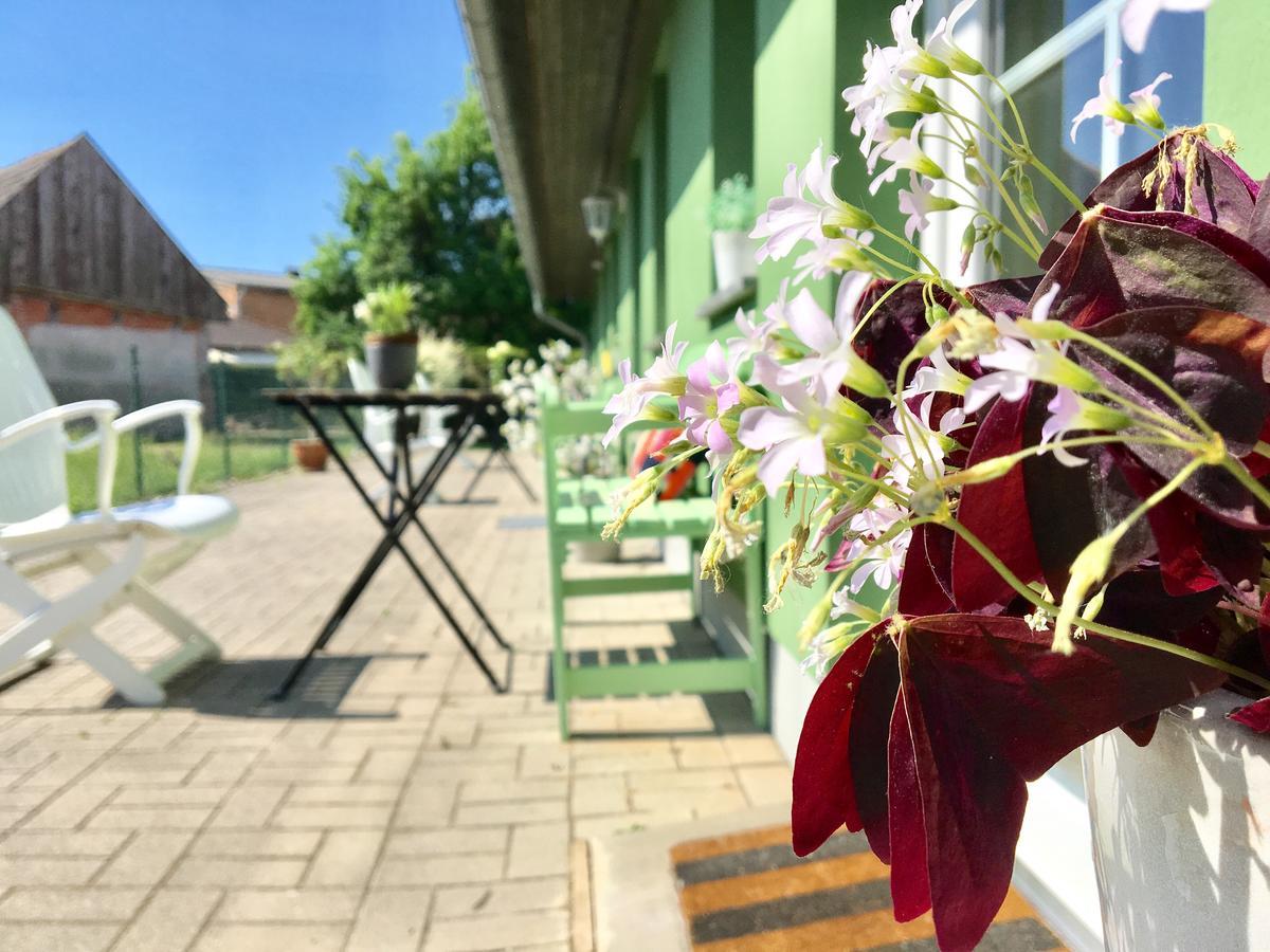 Apartmenthaus Luett Meer Ludorf ภายนอก รูปภาพ